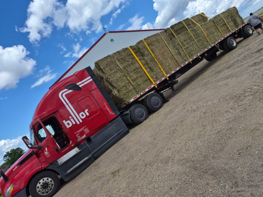Bales of Hay