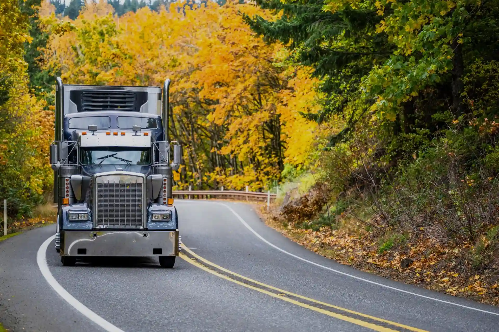 Truck driving in woods